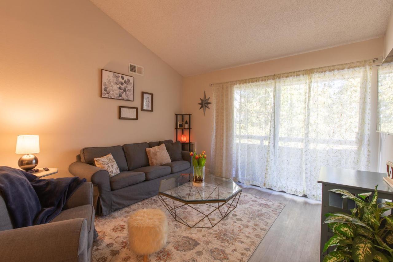 Huge Oceanside Private 2Br Apartment-Pool-Gym-Spa Extérieur photo