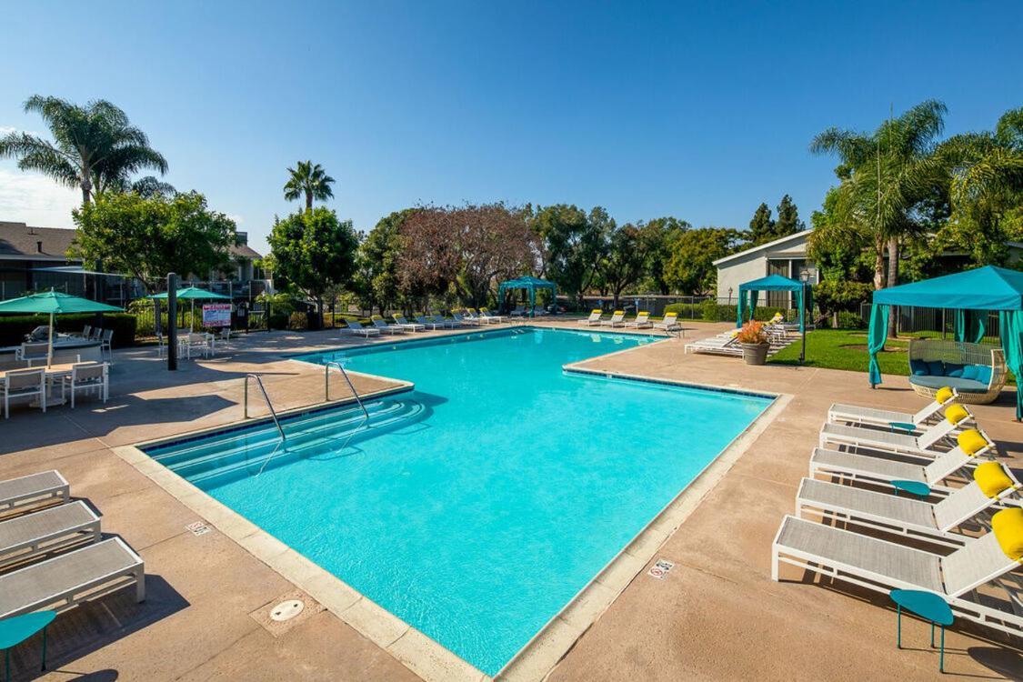 Huge Oceanside Private 2Br Apartment-Pool-Gym-Spa Extérieur photo